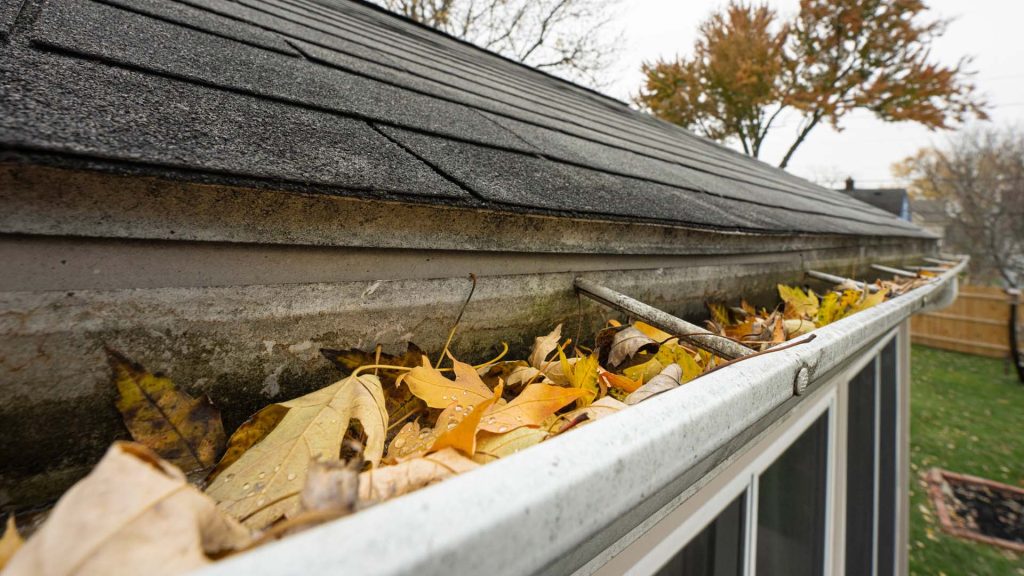 blocked gutters can affect your home insurance