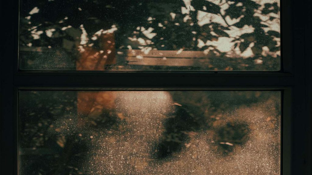 Why Windows in Merseyside Get Dirtier Faster (And What You Can Do About It) 1 Blog 6